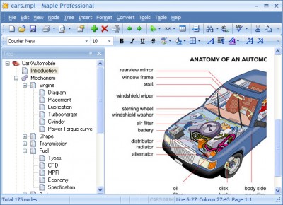 Maple_Professional-screenshot.jpg
