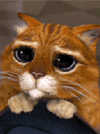 Jo a taky není špatná hra The Suffering,fakt doporučuji,recenze by měla být také na té stráce,co jsem dal odkaz.<br />Hra je hororově laděná a má také děj,není to jen akce,je třeba u toho přemýšlet.:wink: