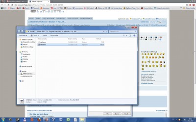 ikona se nezobrazuje korektně ani v umístění souboru
