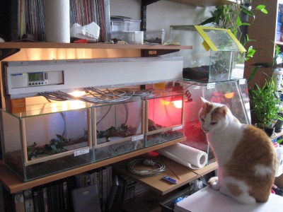 Terária s neúnavným pozorovatelem Funkym