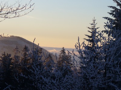 Javorník 2007 009.jpg