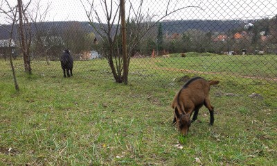 2013-11-06 15.01.50.jpg