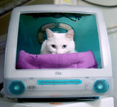 imac8if.jpg