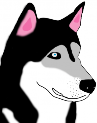 dog.png