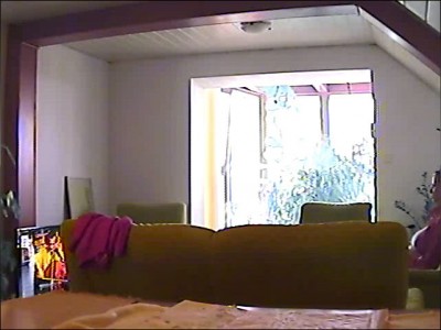 Znovu se opakuje výše popsaný nešvar kamery ICA-310. Rozmazaný obraz, úzké pole záběru. Zimní zahrada vzadu je viditelná o něco lépe než je tomu u Vivoteku.