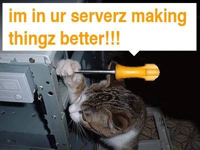 stažený soubor.jpg