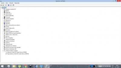 správce zařízení.png