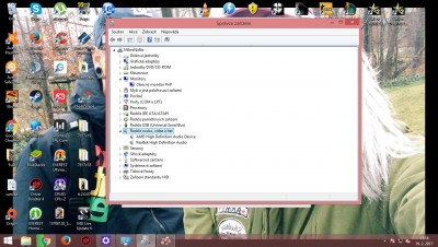 spravce.jpg (296.06 KiB) Zobrazeno 819 x Okéy