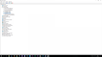 Dal jsem zobrazit skrytá zařízení a není tam. Označení nového disku je ST100DM010-ZE