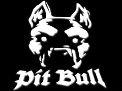 pitbull.png