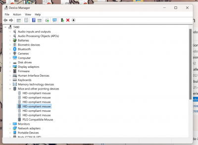 Screenshot 2025-01-17 215203.png